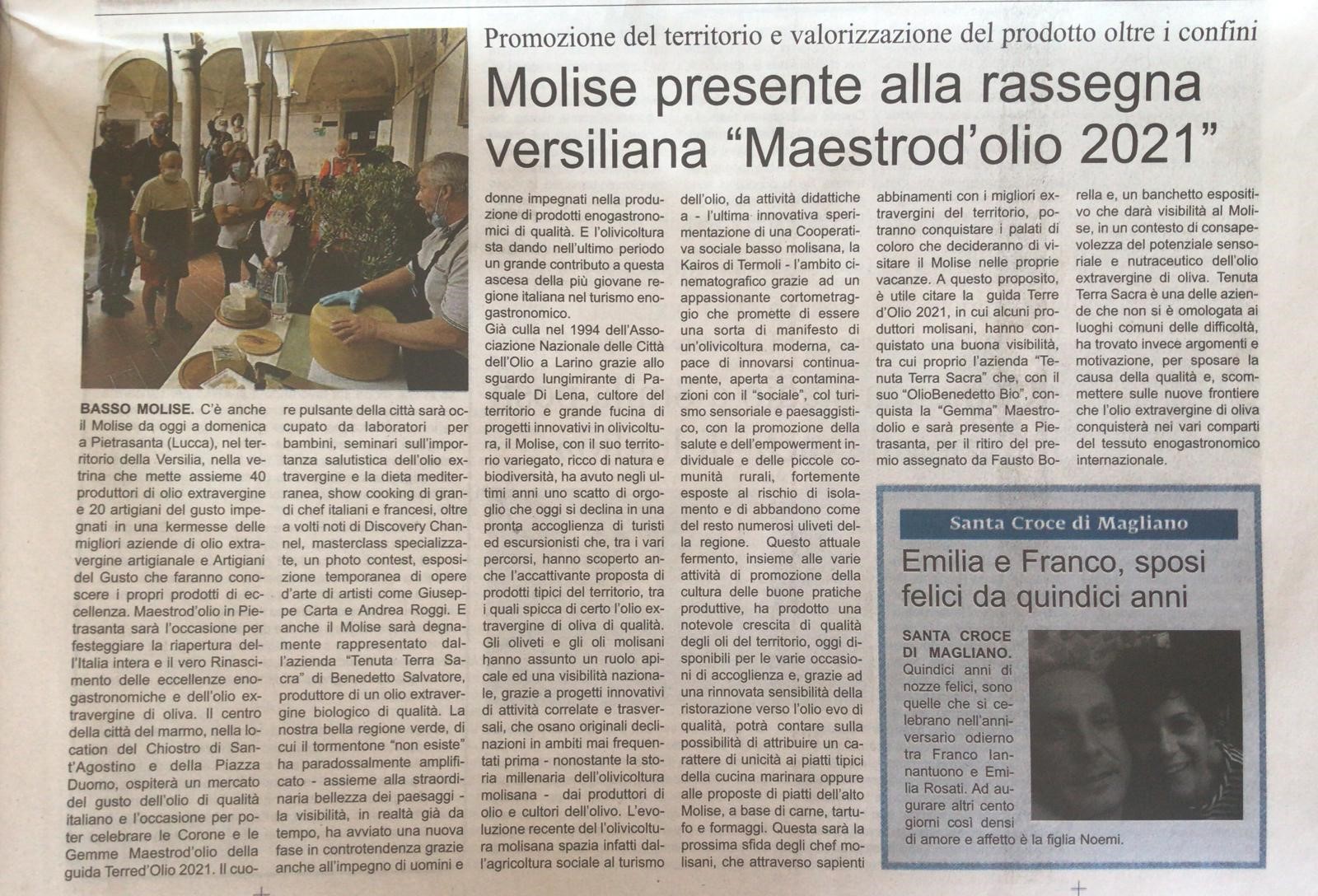 rassegna stampa 2